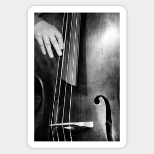 Jazz Bass Poster Sticker